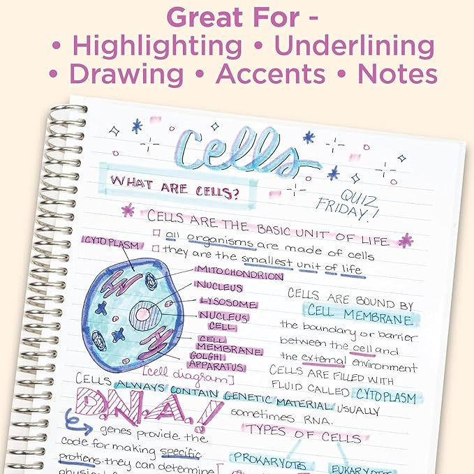 Zebra Pen MILDLINER No Bleed Highlighter, Rainforest, Dual Tip, 10-Pack | Broad and Fine Point Tip Marker Set, Ideal for Bible Highlighting, Journaling, School, Teacher and Office Supplies (78401)