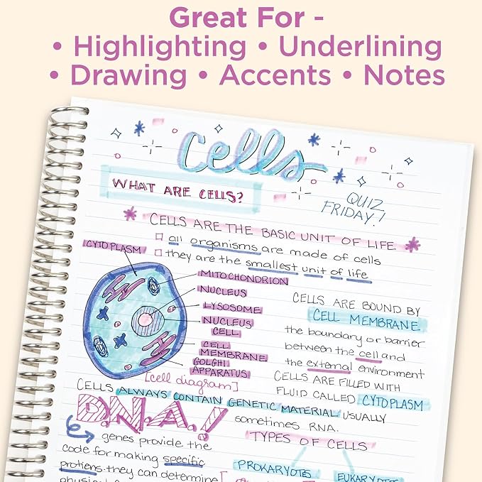 Zebra Pen Mildliner Dual-Tip Highlighter Set, Broad and Fine Point Tips, No Bleed, Ideal for Bible Highlighting, Journaling, School and Office Supplies, Neutral Vintage Ink Colors, 15-Pack (78315)