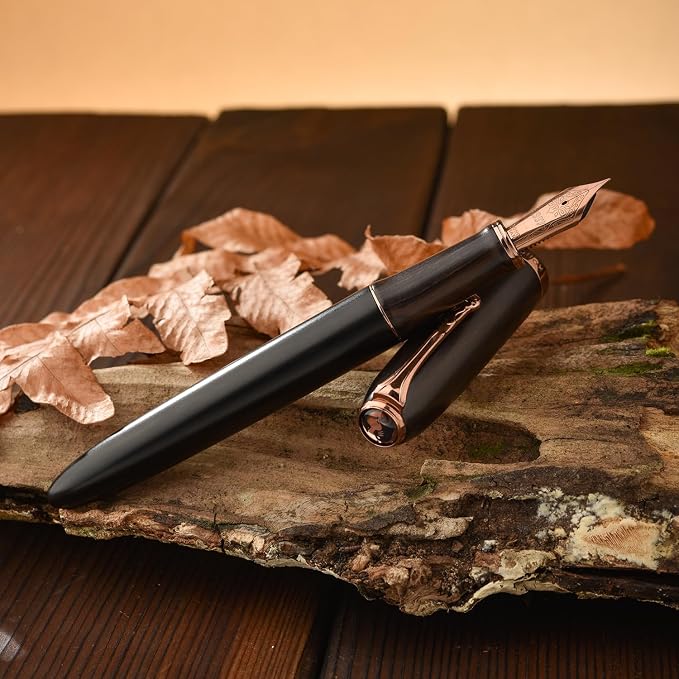 HONG DIAN A10 Fountain Pen, Fine Soft Nib Black Ebony Wood with Magnetic Cap Design and Metal Case Set