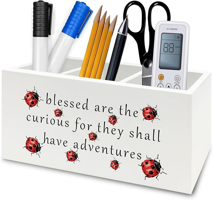 Inspirational Ladybug Pen Pencil Holder Organizer for Desk, Motivational Wooden Box Signs Decorations for Home Office Desk Tabletop, Inspirational Gifts for Women Men