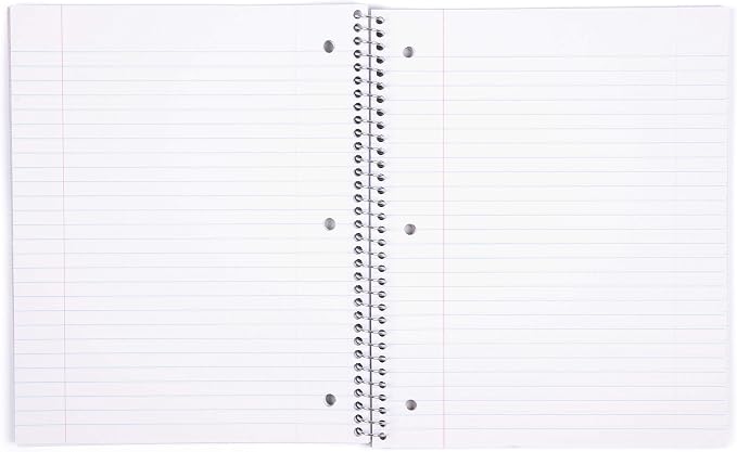 Mintra Office Durable Spiral Notebooks, 1 Subject, (White, Wide Ruled 12pk), 100 Sheets, Poly Pocket, Moisture Resistant Cover, School, Office, Business, Professional