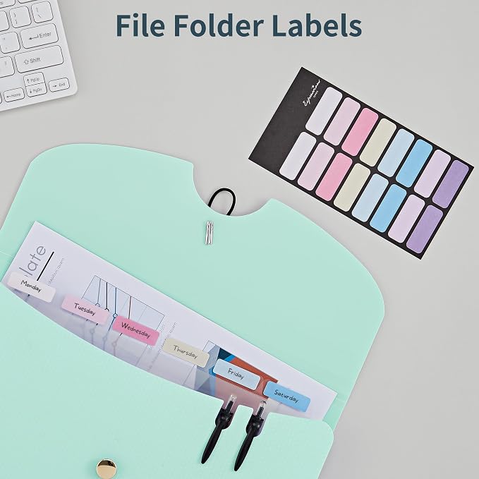 JARLINK 7 Pockets Expanding File Folder, A4 Accordion folders, Blue & Pink | Accordion File Folders with 12 Labels, Portable Document Organizer for Home, College, School, and Office Supplies