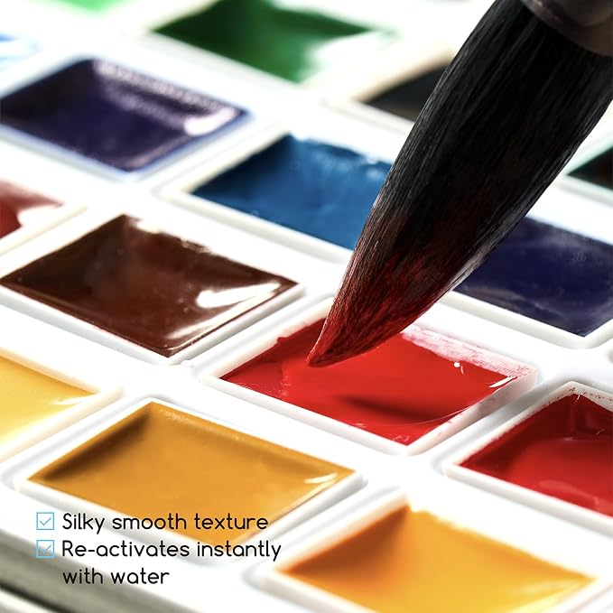 MEEDEN Professional Watercolor Paint Set: 24 Colors Semi-Moist Watercolor Set - High Saturation Art Supplies for Painting Adults Artists Pros