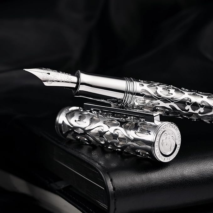 HONG DIAN D1 Piston Fountain Pen Extra Fine Nib, Hollow Skeleton & Resin Pen with Metal Case Set (Silver)