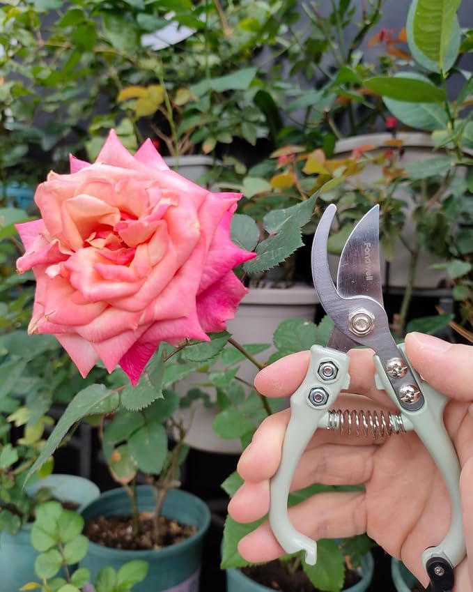 Fondwell 6" Small Bypass Pruners Garden Shears Plant Clippers for Gardening | 1-Pack Lightweight Pruning Shears, Rust Resistant, Comfortable Use - Best for Delicate Cutting Fresh Flower Stems Herbs Buds