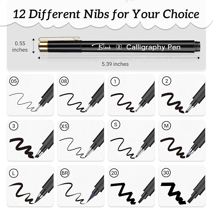 APOGO Calligraphy Pen Set for Beginners, 12 Size Calligraphys Pens for Writing, Hand Lettering Pens for Adults, Brush Pens for Art Drawing, Sketching, Scrapbooking, Journaling, Signing