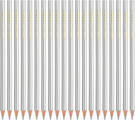 PATIKIL Silver Colored Pencils Set,20 Pcs Oil Color Pencils Wooden Coloring Drawing Pencil for Artists Art Painting