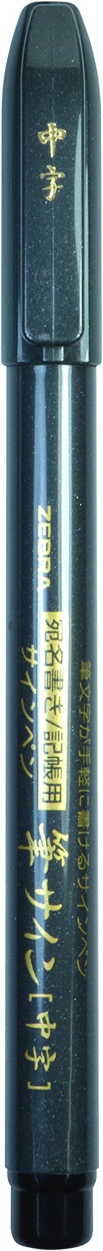 Zebra Pen Zensations Brush Pen, Medium Brush Tip, Black Water-Resistant Ink, 2-Pack