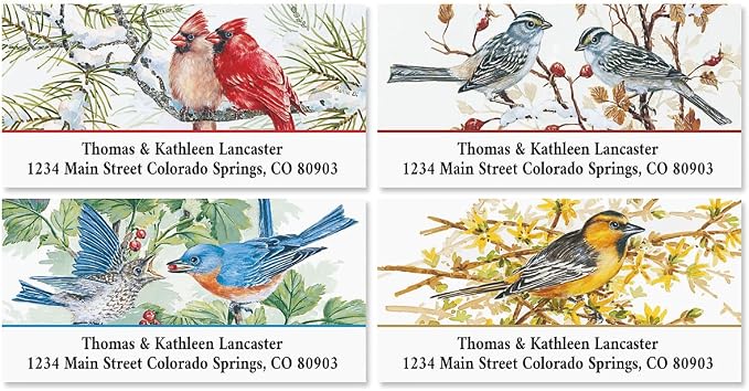 Colorful Images Birds Return Address Labels | Garden Friends, 144 Count, Self-Adhesive on Flat-Sheet Labels, Customize with Name & Shipping Address