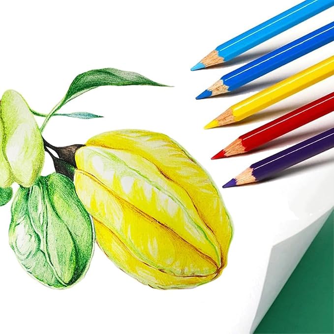 SKKSTATIONERY 50Pcs Colored Pencils,50 Vibrant Colors, Drawing Pencils for Sketch, Arts, Coloring Books, Back to school