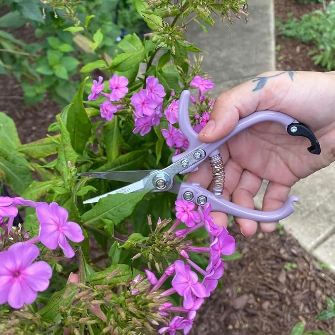 Modern Sprout Pruning Shears - Garden Snips - Herb Scissors - Multi 12-Pack | Lightweight Gardening Tool - Durable Carbon Steel Blade W/Easy-Lock - Gardening Supplies - Flower Cutter - Reusable Holster
