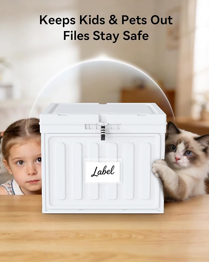 Oterri Lockable Plastic File Box with Lid for Letter-Size | Hanging File Folders Not Included. White, Large 1-Pack. Home, Office, Classroom, Dorm, Tax, Under Bed, Filing Cabinet.