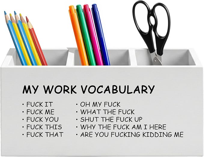 Minimalist Funny Pen Holder for Home Office Desk, Funny Office Gifts for Coworkers, My Work Vocabulary Humorous Wooden Box Sign Pencil Holder for Desk Shelf Organizer