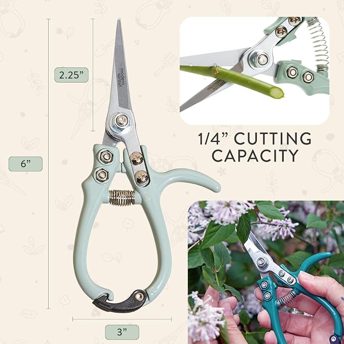 Modern Sprout Pruning Shears - Garden Snips - Herb Scissors - Sage 1-Pack | Lightweight Gardening Tool - Durable Carbon Steel Blade W/Easy-Lock - Gardening Supplies - Flower Cutter - Reusable Holster