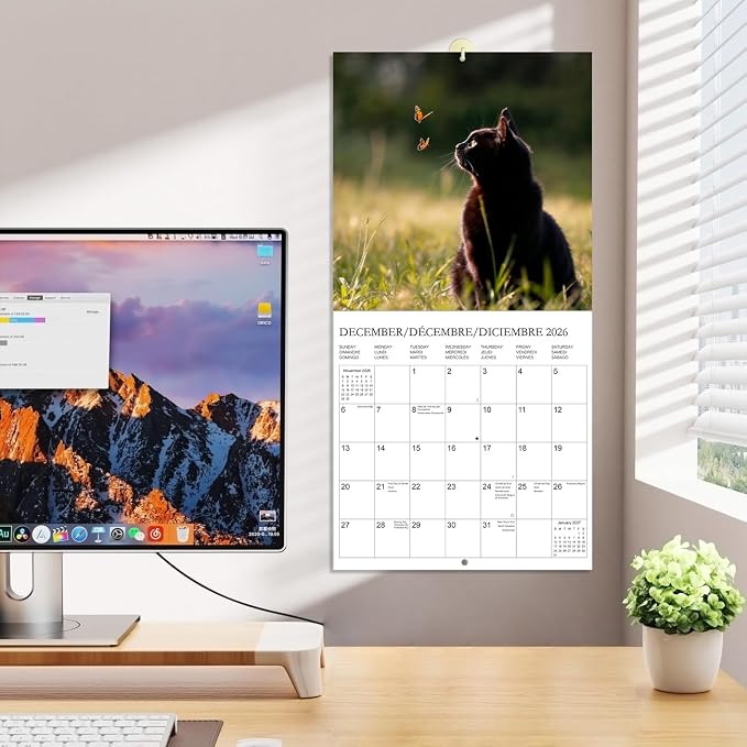 Calendar 2026 - Wall Calendar from January 2026 to December 2026, 3 Languages(English,French,Spanish), 2026 Calendar with Holiday Marked, Premium Paper for Organizing, 12" x 12",Cat
