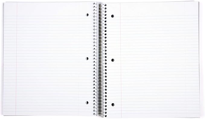 Mintra Office Durable Spiral Notebooks, 5 Subject (Green, College Ruled 1pk)