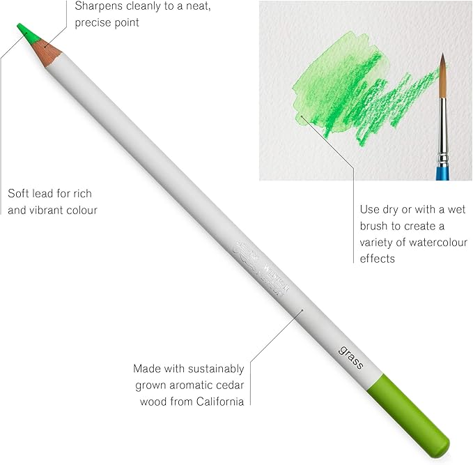 Winsor & Newton Studio Collection Artist Pencils, Watercolor Pencils, Set of 24