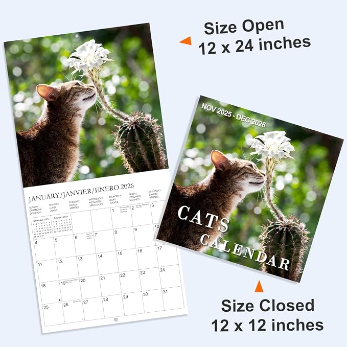 Calendar 2026 - Wall Calendar from January 2026 to December 2026, 3 Languages(English,French,Spanish), 2026 Calendar with Holiday Marked, Premium Paper for Organizing, 12" x 12",Cat