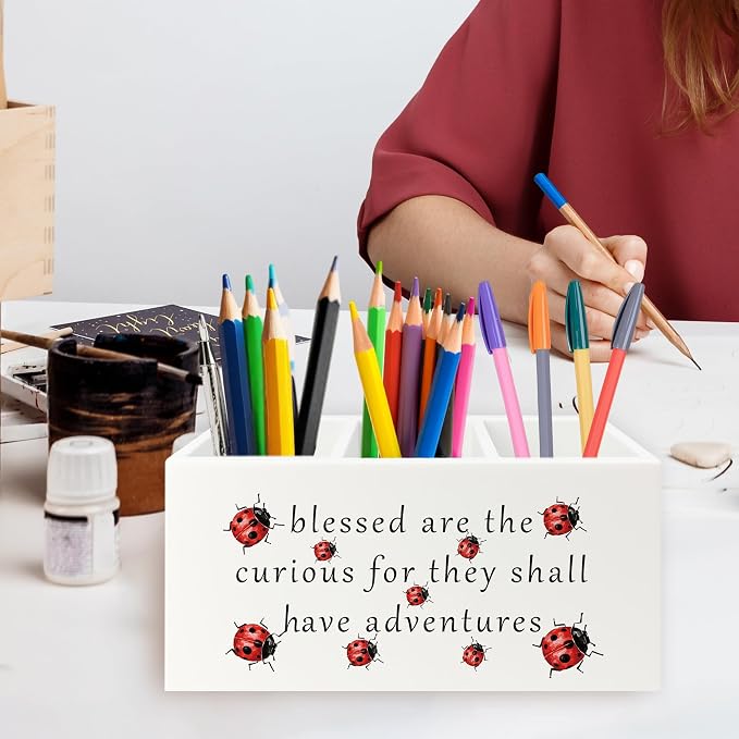 Inspirational Ladybug Pen Pencil Holder Organizer for Desk, Motivational Wooden Box Signs Decorations for Home Office Desk Tabletop, Inspirational Gifts for Women Men