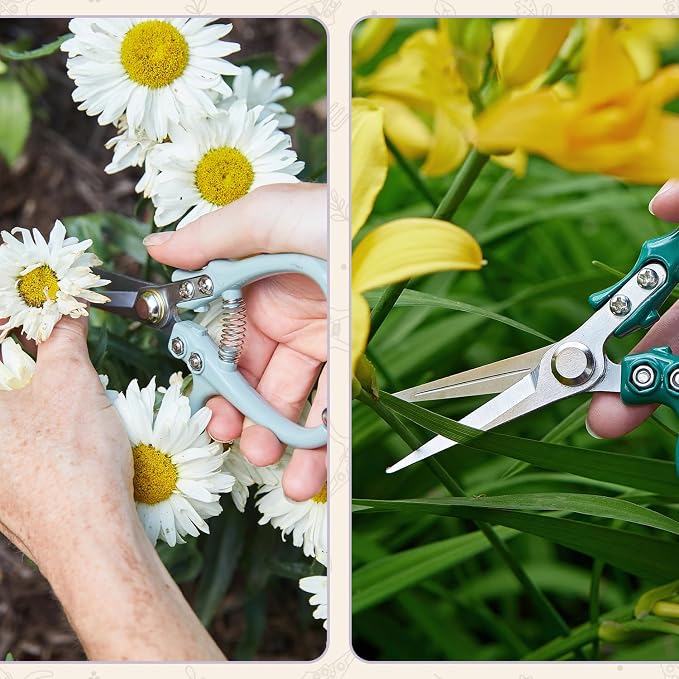 Modern Sprout Pruning Shears- Garden Snips - Herb Scissors- Lavender 1-Pack | Lightweight Gardening Tool - Durable Carbon Steel Blade W/Easy-Lock - Gardening Supplies - Flower Cutter - Reusable Holster