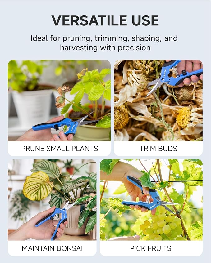 Fondwell 6.5" Small Pruning Scissors for Indoor Plant Micro Garden Clippers | 2-Pack Trim Scissors, Ultra-Sharp Micro-Tip Straight Blades, Lightweight - Best for Delicate Cutting Flower Stems Herbs Buds