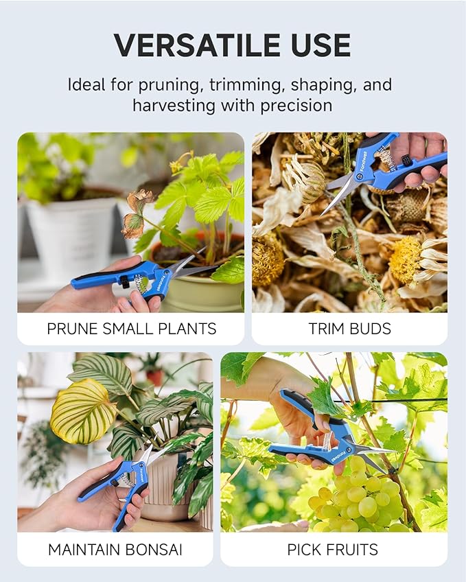 Fondwell 6.5" Gardening Scissors Trimming Shears: 2 Pack of Trimming Scissors for Buds - Comfortable Hand Pruners with Curved Blades | 2-Pack Plant Snips, Ultra-Sharp Micro-Tip Curved Blades, Comfortable Use, Safety - Best for Precision Cuts in Tight S...