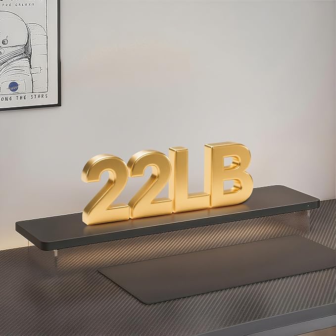 Computer Monitor Stands, Wood & Acrylic Computer Monitor Stand, Desk Monitor Stand Underneath Storage For Office, Home, School Supplies, 15.7" L (Black)