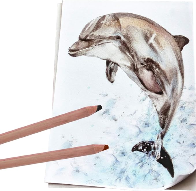 12Pcs Skin Tone Pastel Pencils, Multicolor Skin Colored Pencils, Soft Core Art Drawing Pencils for Adult Coloring, Portraits, Sketching, Shading, Charcoal Pencils Set for Beginners & Artists