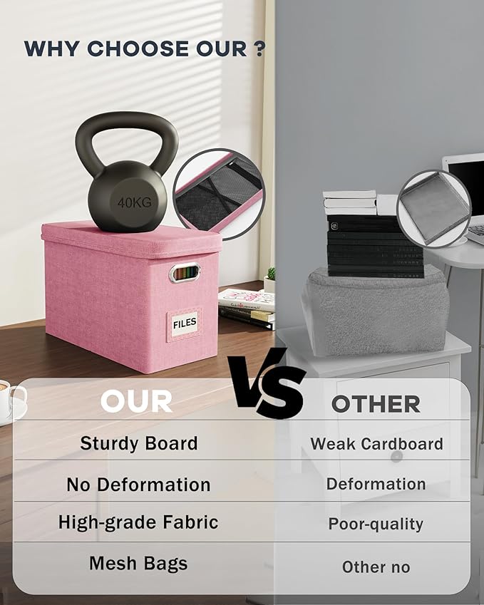 Oterri File Organizer Box with Lid, Hanging Filing File Box with Mesh Pocket, Document Organizer Box for Letter Files, Portable Storage Box with Smooth Sliding Rail for Office&Home (1 PCS, Pink)