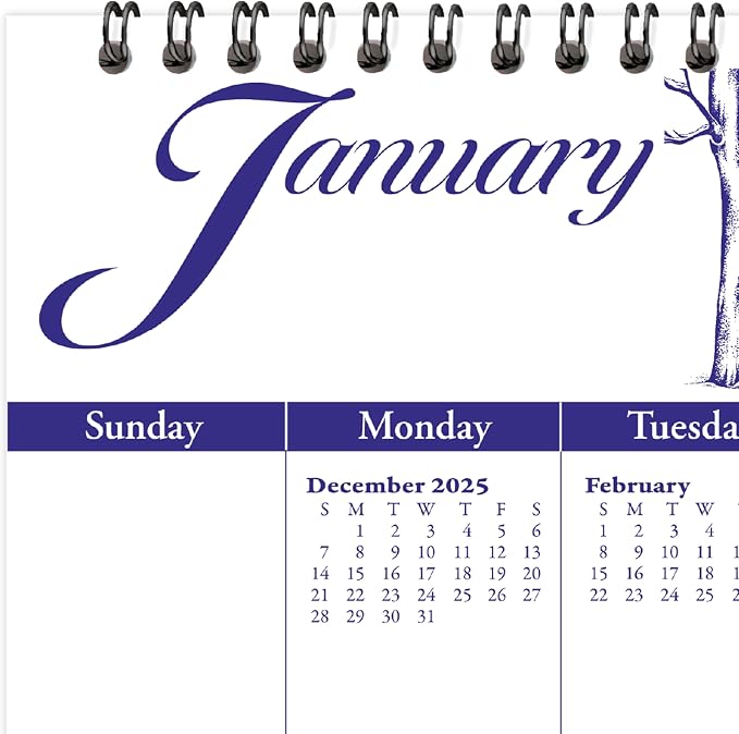 AT-A-GLANCE 2026 Wall Calendar, 12" x 12", Medium, Illustrator’s Edition (G10001726)