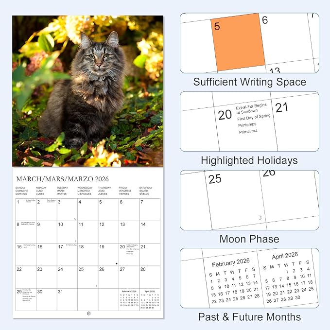 Calendar 2026 - Wall Calendar from January 2026 to December 2026, 3 Languages(English,French,Spanish), 2026 Calendar with Holiday Marked, Premium Paper for Organizing, 12" x 12",Cat