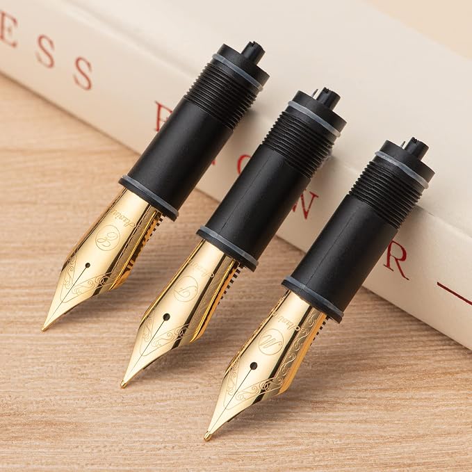 Asvine 3 PCS Fountain Pen Replaced Nibs, 6 Gold Plated EF Nib V169, P20, P30 and V126
