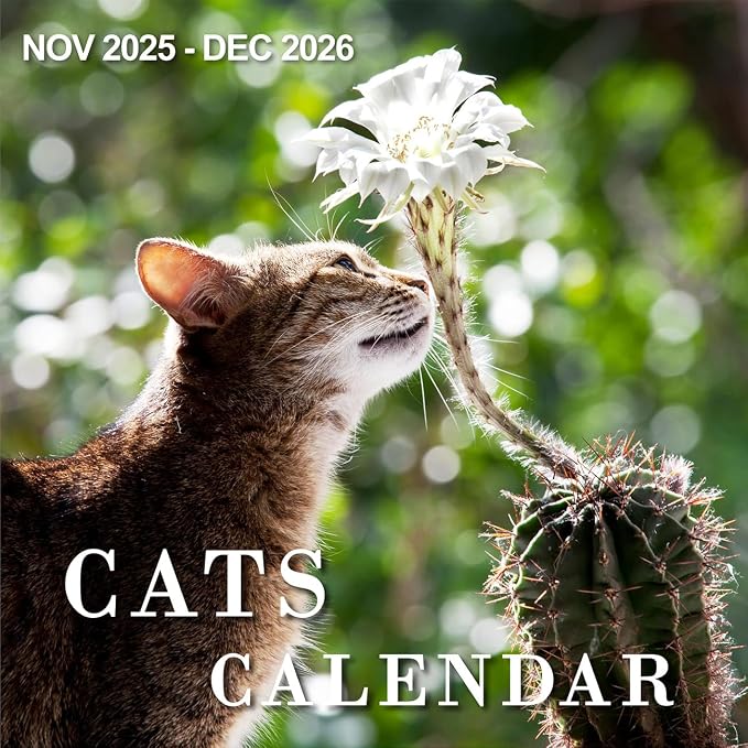 Calendar 2026 - Wall Calendar from January 2026 to December 2026, 3 Languages(English,French,Spanish), 2026 Calendar with Holiday Marked, Premium Paper for Organizing, 12" x 12",Cat