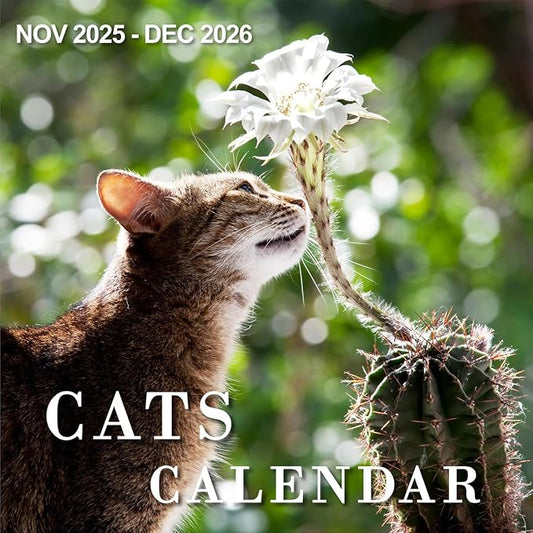 Calendar 2026 - Wall Calendar from January 2026 to December 2026, 3 Languages(English,French,Spanish), 2026 Calendar with Holiday Marked, Premium Paper for Organizing, 12" x 12",Cat