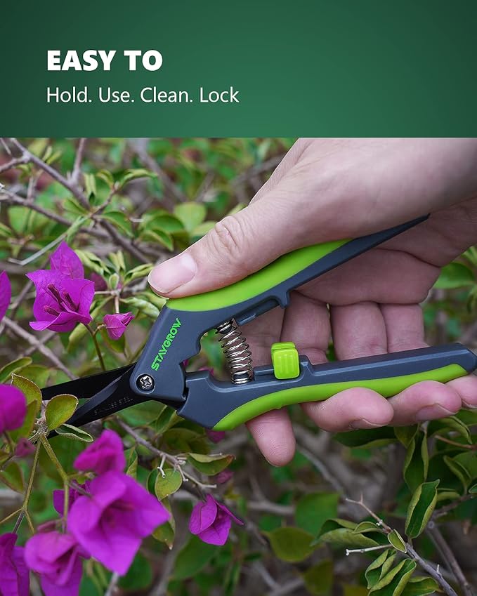 6.5" Pruning Shears for Gardening, Sharp Plant Trimming Scissors | Gardening Snips for Precise Cuts,Stainless Steel Garden Scissors Bonsai Clippers Garden Shears(1-Pack Curved)