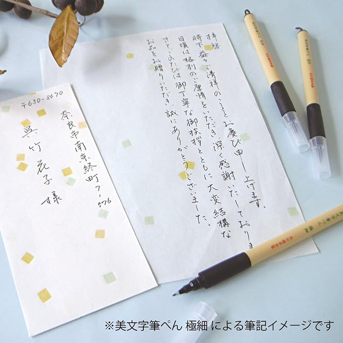 Kuretake Bimoji Felt Tip Brush Pen for Manga/Calligraphy, Broad Tip (XT4-10S)