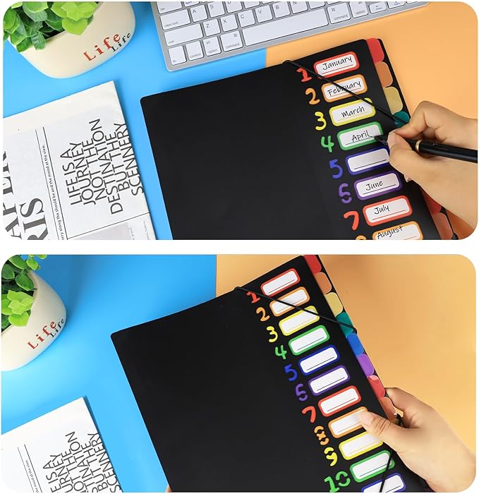 HABGP 24 Plastic Folders with Multi Pockets, 12 Colors, Office Organizer with 12 Tab Dividers, Letter Size School Supplies