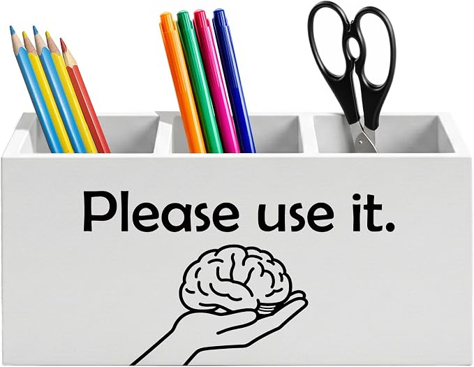Sarcastic Funny Brain Pen Holder for Home Office Desk, Funny Office Gifts for Coworkers, Please use It Humorous Wooden Box Sign Pencil Holder for Desk Shelf Organizer