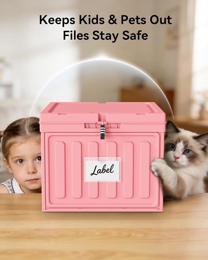 Oterri Lockable Plastic File Box with Lid for Letter-Size | Hanging File Folders Not Included. Pink, Large 2-Pack. Home, Office, Classroom, Dorm, Tax, Under Bed, Filing Cabinet.