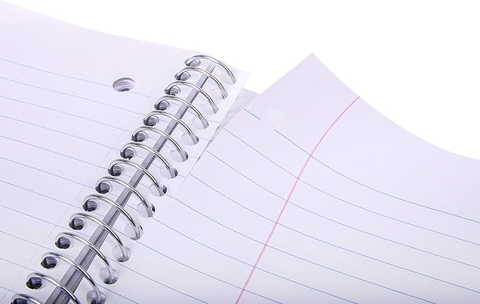 Mintra Office Durable Spiral Notebooks, 5 Subject (Sage Green, Wide Ruled 1pk)