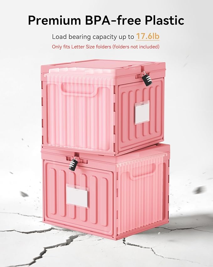 Oterri Lockable Plastic File Box with Lid for Letter-Size | Hanging File Folders Not Included. Pink, Large 2-Pack. Home, Office, Classroom, Dorm, Tax, Under Bed, Filing Cabinet.