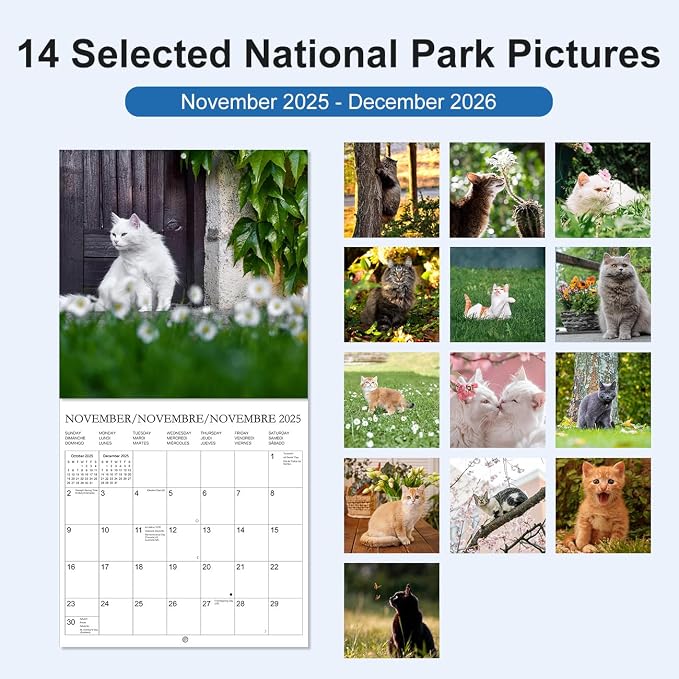 Calendar 2026 - Wall Calendar from January 2026 to December 2026, 3 Languages(English,French,Spanish), 2026 Calendar with Holiday Marked, Premium Paper for Organizing, 12" x 12",Cat