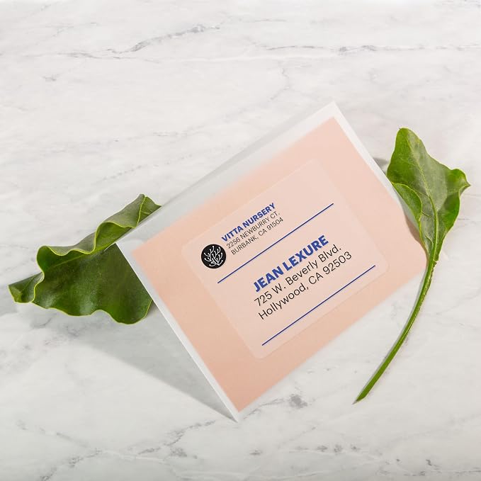 Avery Printable Shipping Labels with Sure Feed, 2" x 4", Matte Clear, 100 Blank Mailing Labels (18663)