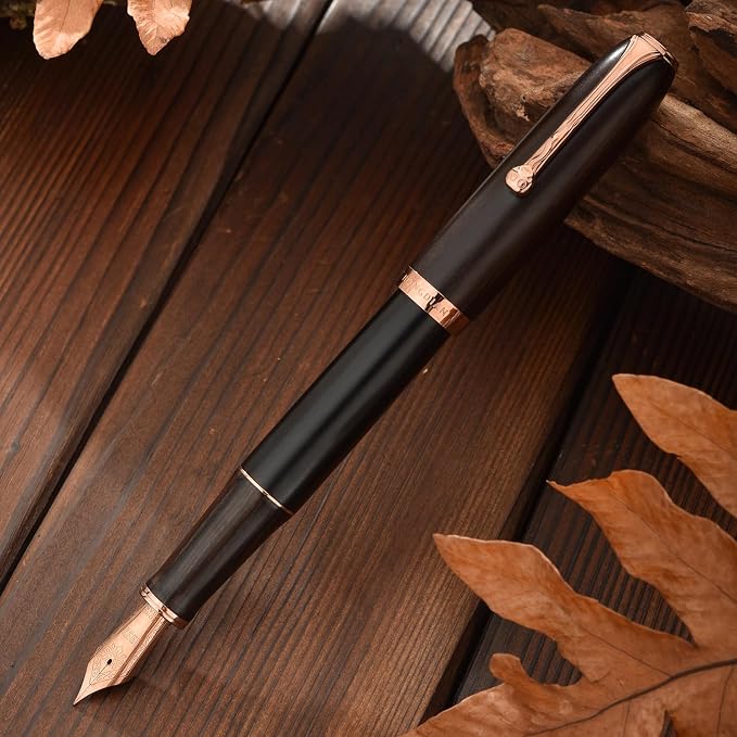 HONG DIAN A10 Fountain Pen, Fine Soft Nib Black Ebony Wood with Magnetic Cap Design and Metal Case Set