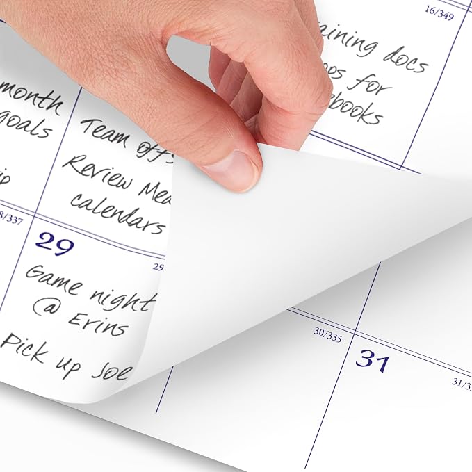 AT-A-GLANCE 2026 Wall Calendar, 12" x 12", Medium, Illustrator’s Edition (G10001726)