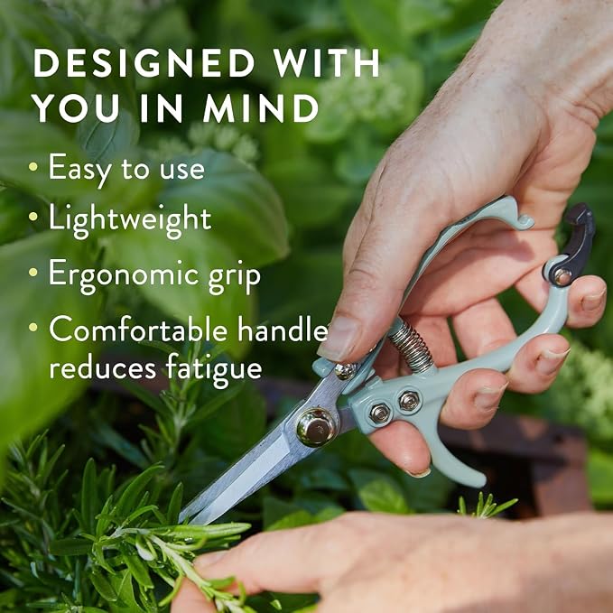 Modern Sprout Pruning Shears - Garden Snips - Herb Scissors - Multi 12-Pack | Lightweight Gardening Tool - Durable Carbon Steel Blade W/Easy-Lock - Gardening Supplies - Flower Cutter - Reusable Holster