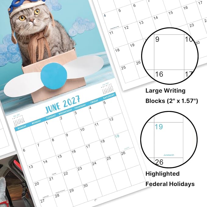 Calendar 2026-2027 - Wall Calendar 2026-2027, JUL 2026 - DEC 2027, Funny Cats Calendar 26-27, Wall Calendar 18 Month, Funny Cat Memes Pics, 12'' x 24'' (Open), Unruled Block, Hanging Hole, Holidays