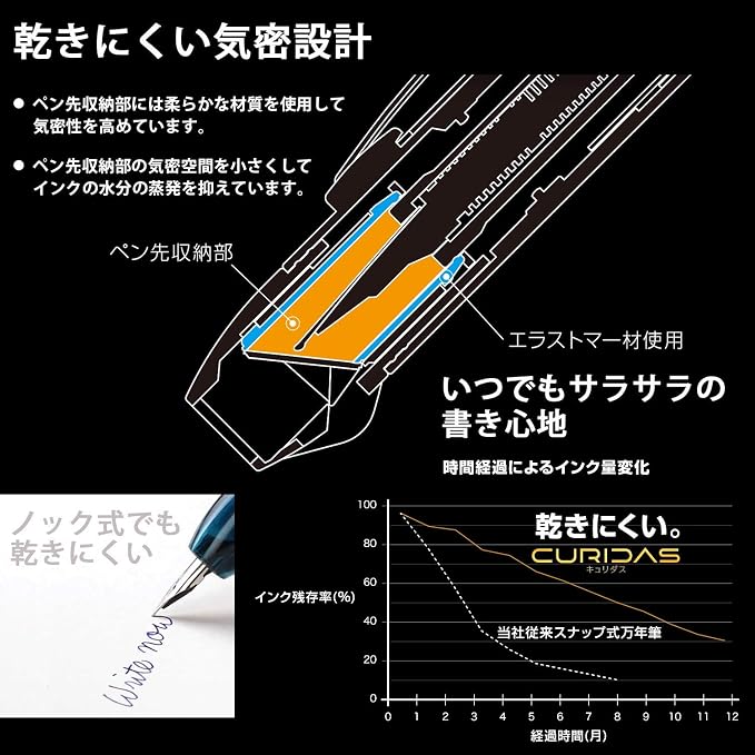 Platinum Fountain Pen, Curidus, Graphite Smoke, Fine Point, PKN-7000#7-2