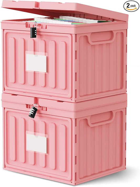 Oterri Lockable Plastic File Box with Lid for Letter-Size | Hanging File Folders Not Included. Pink, Large 2-Pack. Home, Office, Classroom, Dorm, Tax, Under Bed, Filing Cabinet.