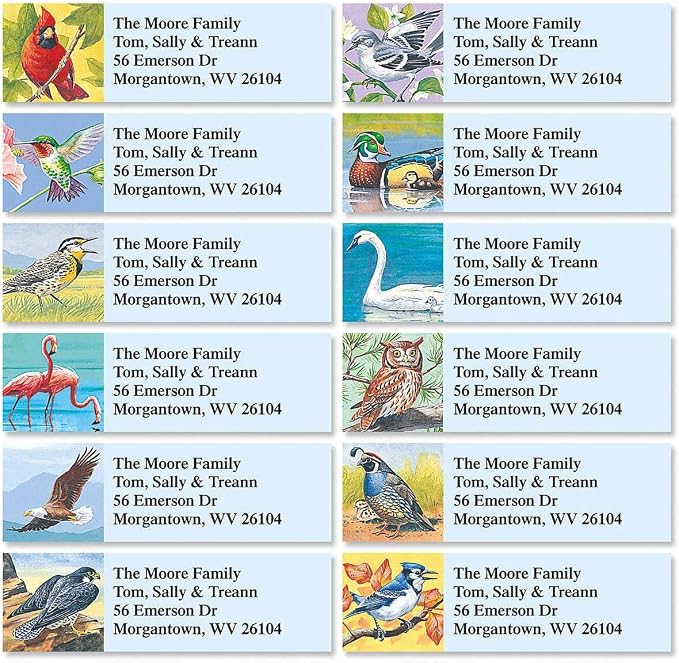 Colorful Images Return Address Mailing Labels | Birds of America, 240 Count, Self-Adhesive on Flat-Sheet Labels, Customize with Name & Shipping Address